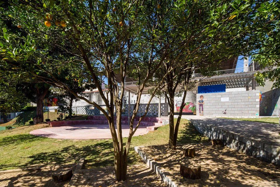 Um grupo de árvores em um parque com um prédio ao fundo.