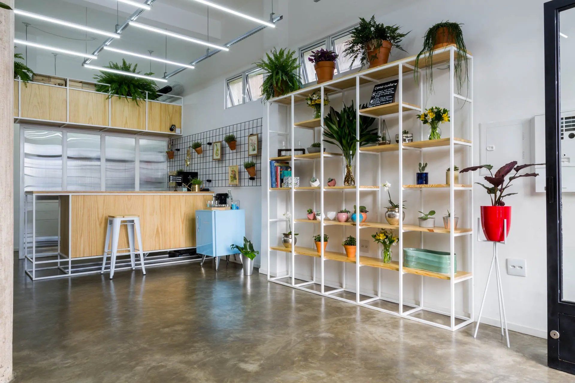 Uma sala com muitas prateleiras e vasos de plantas.