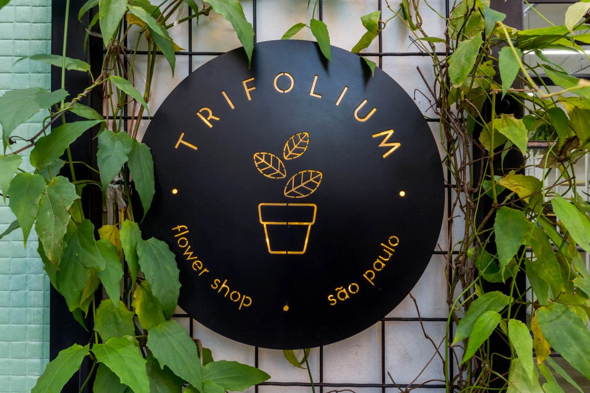 Placa para floricultura trifolium em são paulo