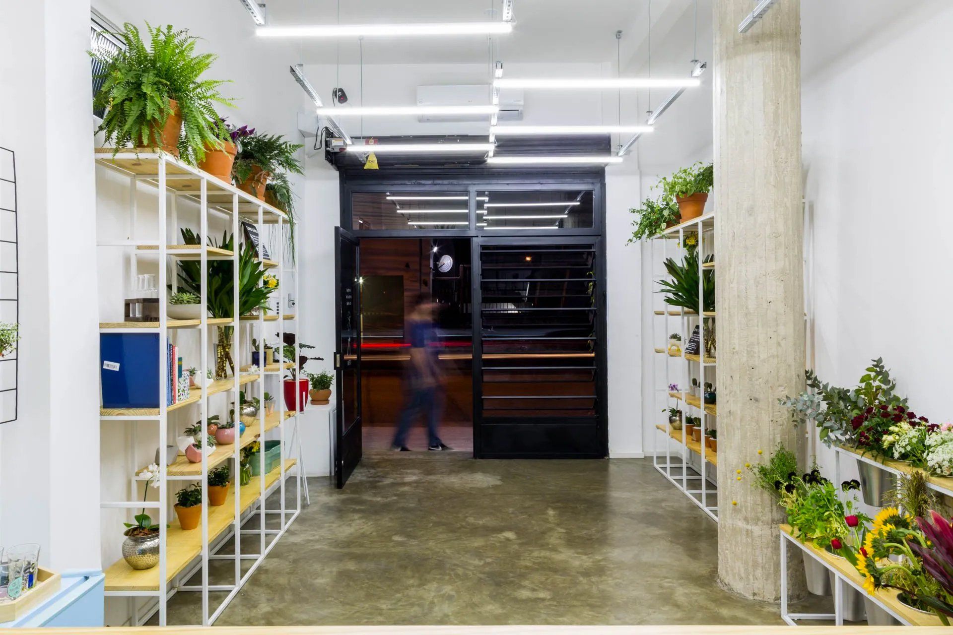 Uma sala cheia de vasos de plantas e prateleiras.