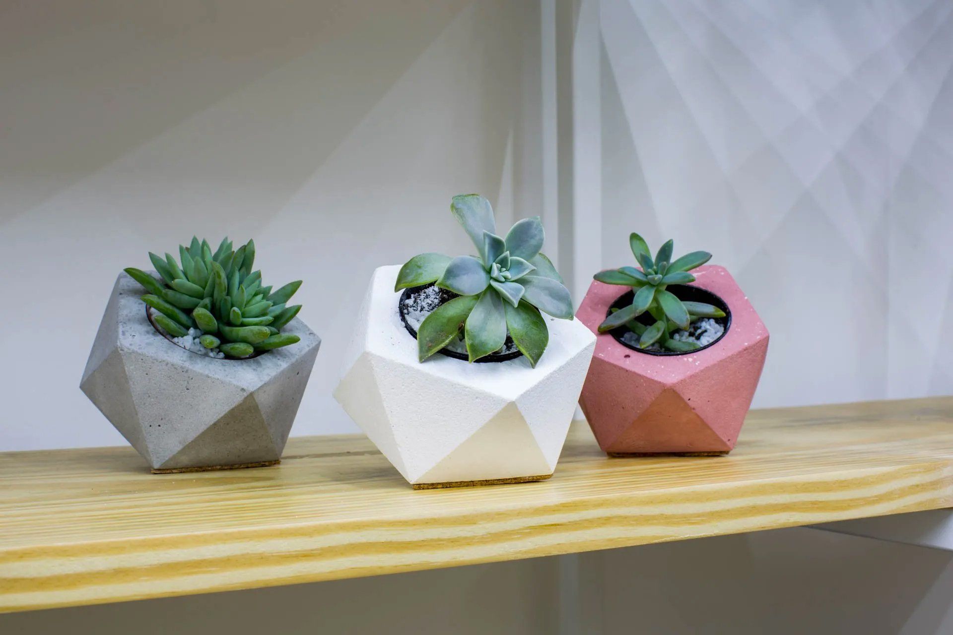 Três vasos de plantas estão em uma prateleira de madeira.