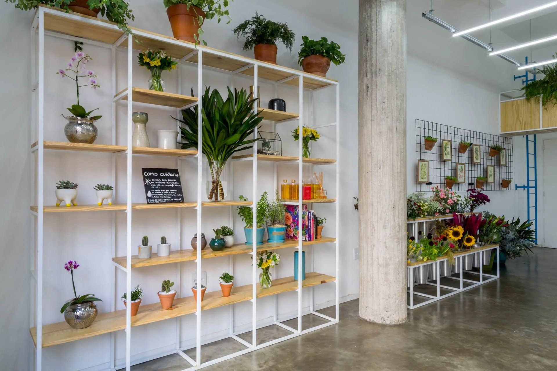 Uma sala cheia de prateleiras cheias de vasos de plantas e flores.