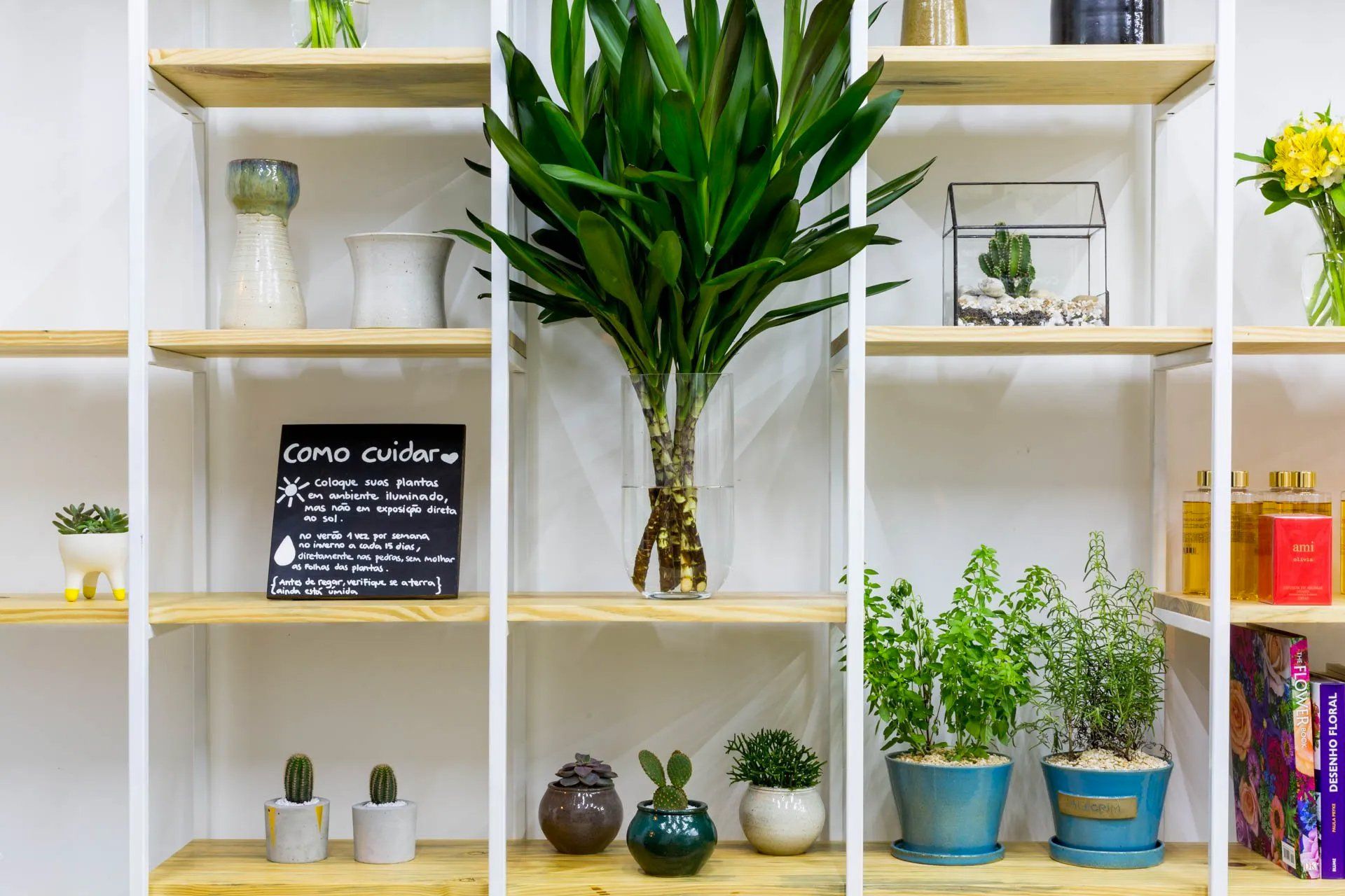 Uma estante cheia de vasos de plantas e livros.