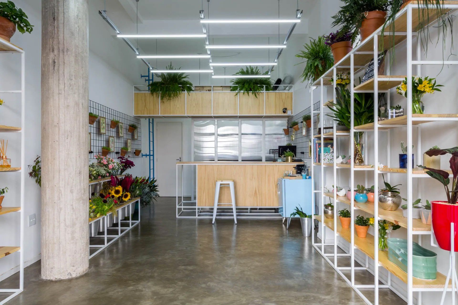 Uma sala cheia de vasos de plantas e prateleiras.