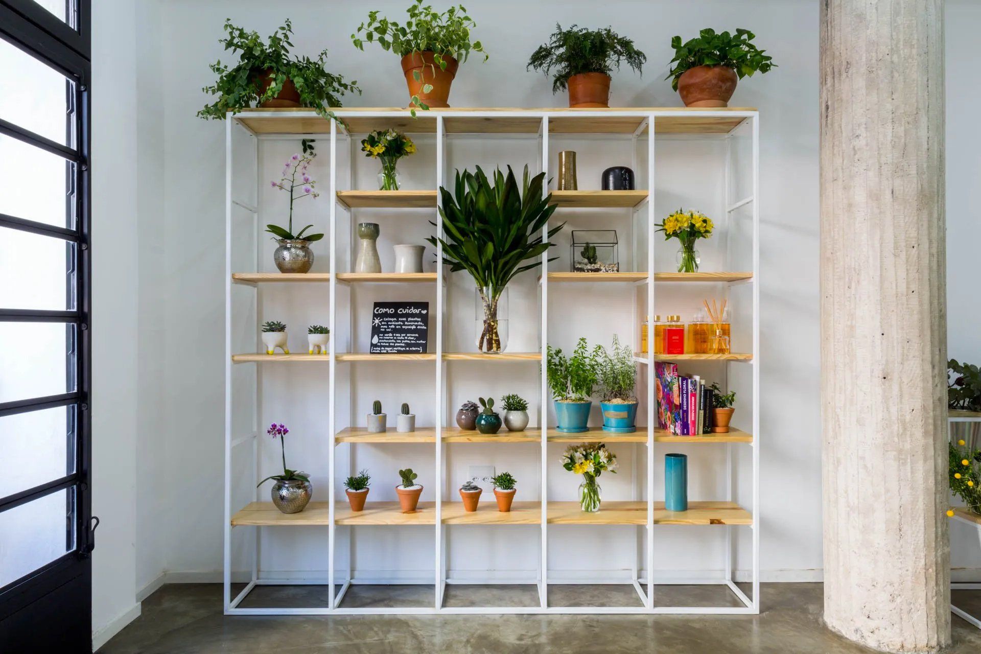Uma sala com uma estante cheia de vasos de plantas e livros.