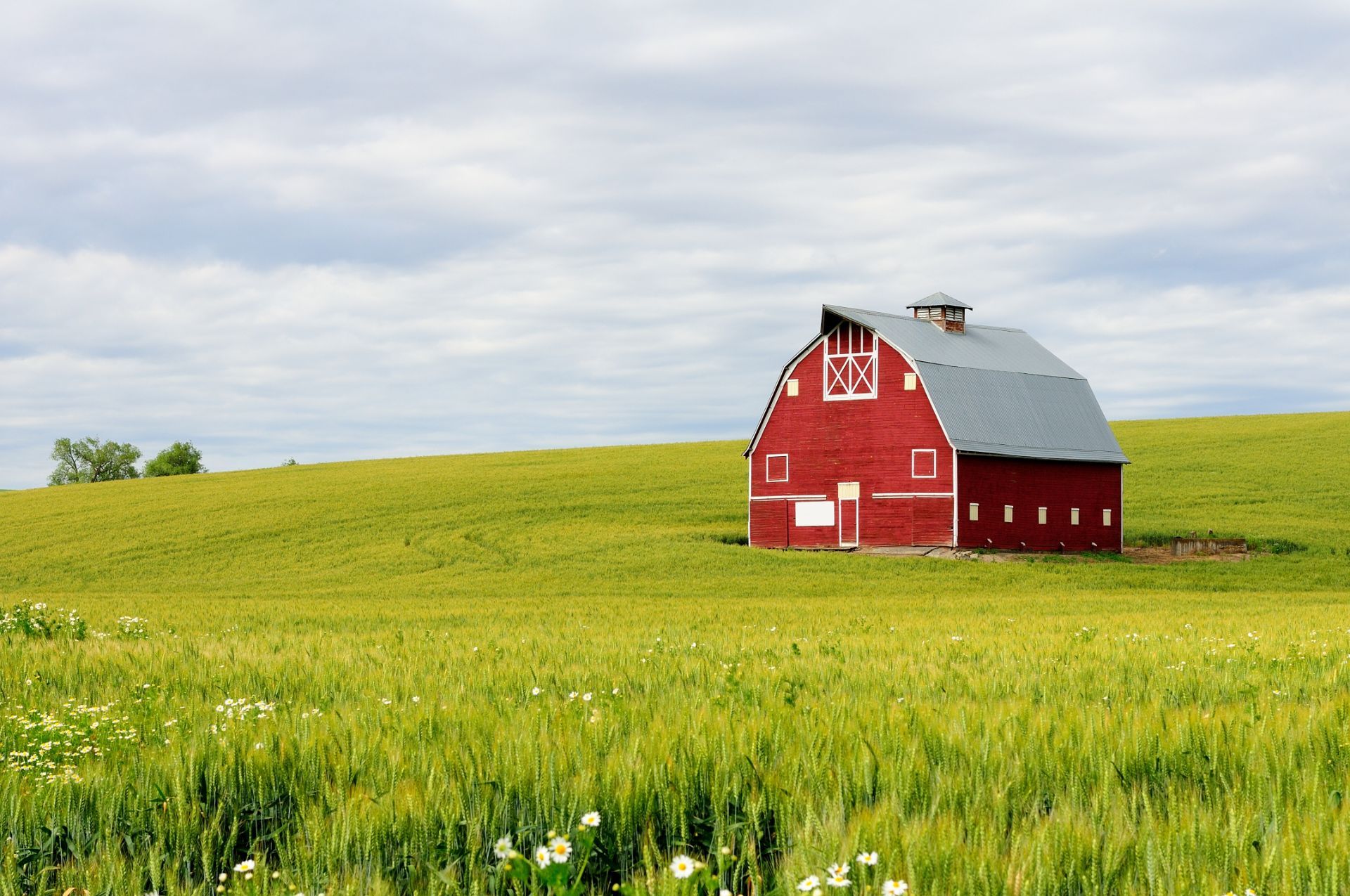 barn in field