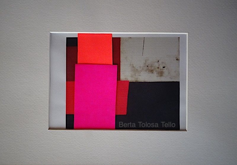 Un cuadro de Berta Tolosa Tello está enmarcado en una pared.