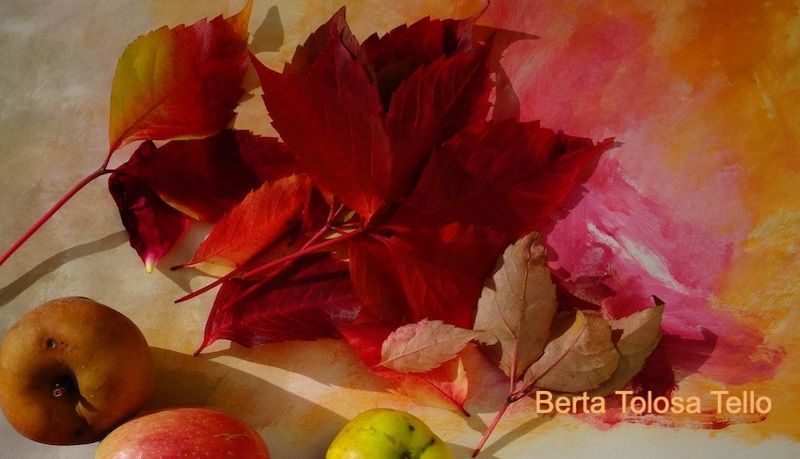 Un cuadro de hojas y manzanas de Berta Tolosa Tello