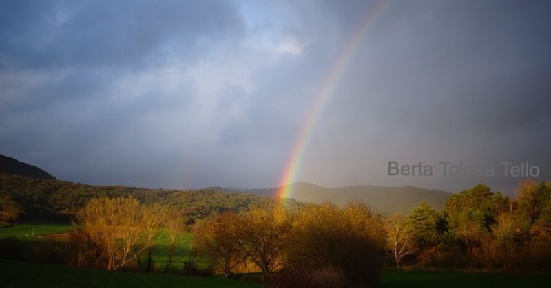 Hay un arco iris en el cielo sobre un campo.