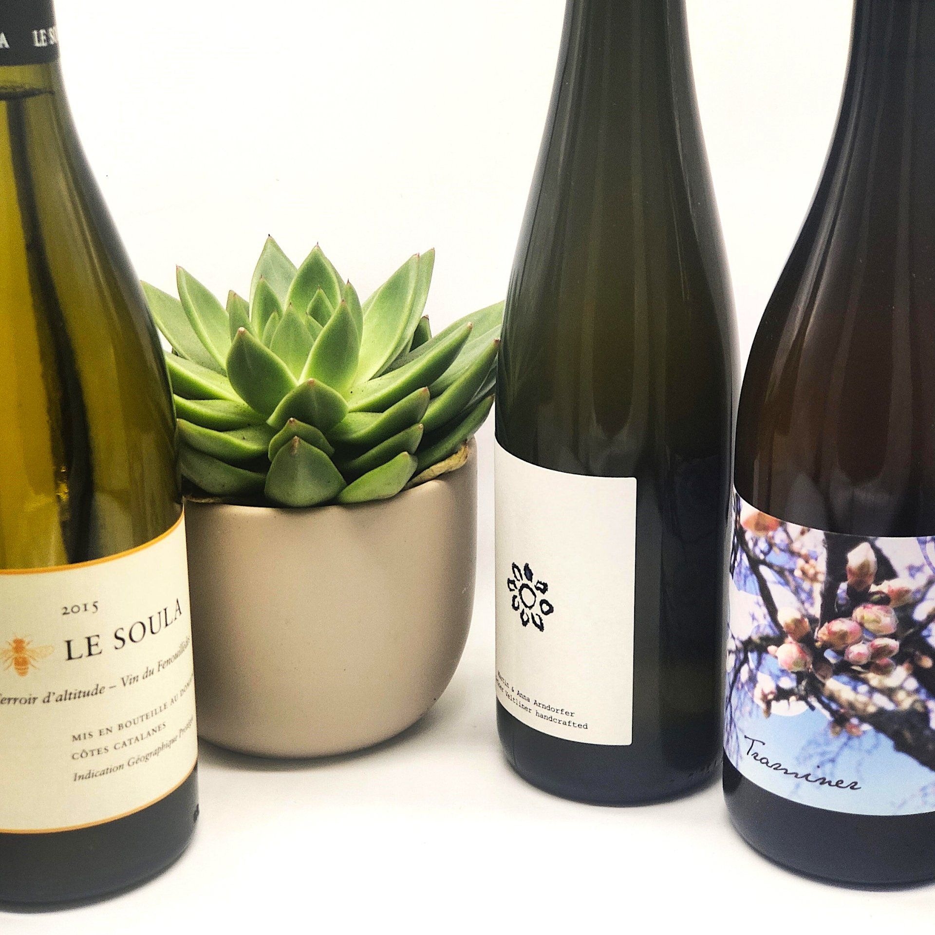 3 bottles of delicious wine