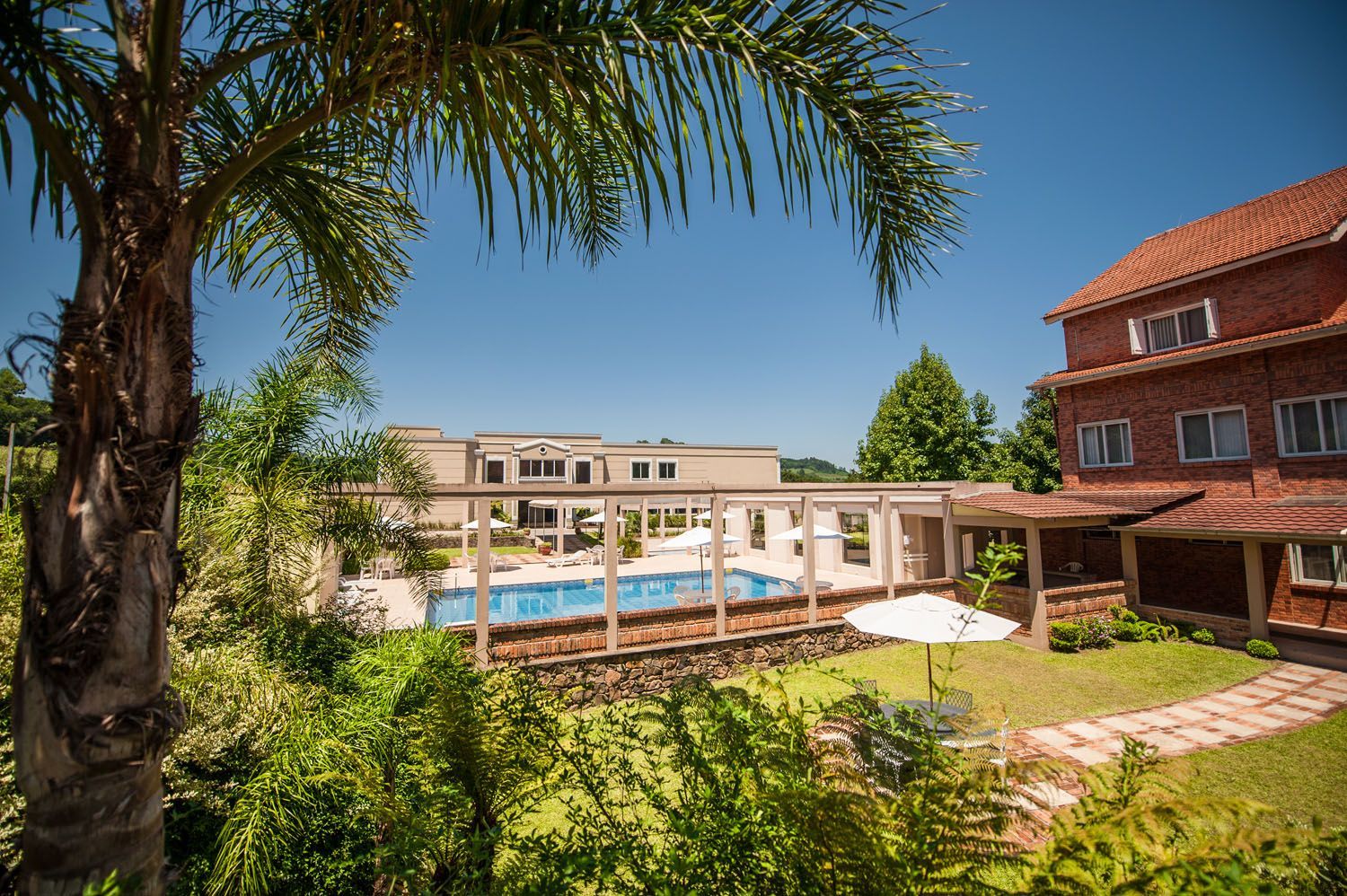 uma casa grande com piscina e uma palmeira na frente.