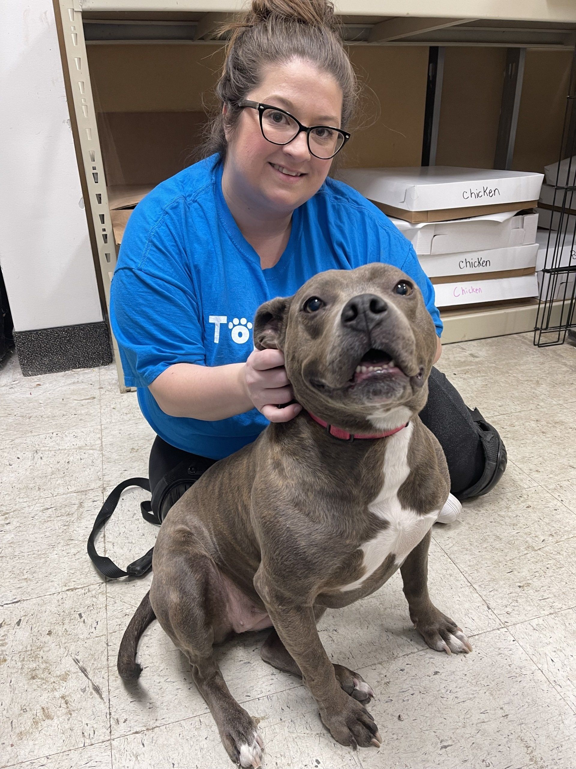 A woman in a blue shirt is kneeling down next to a dog.