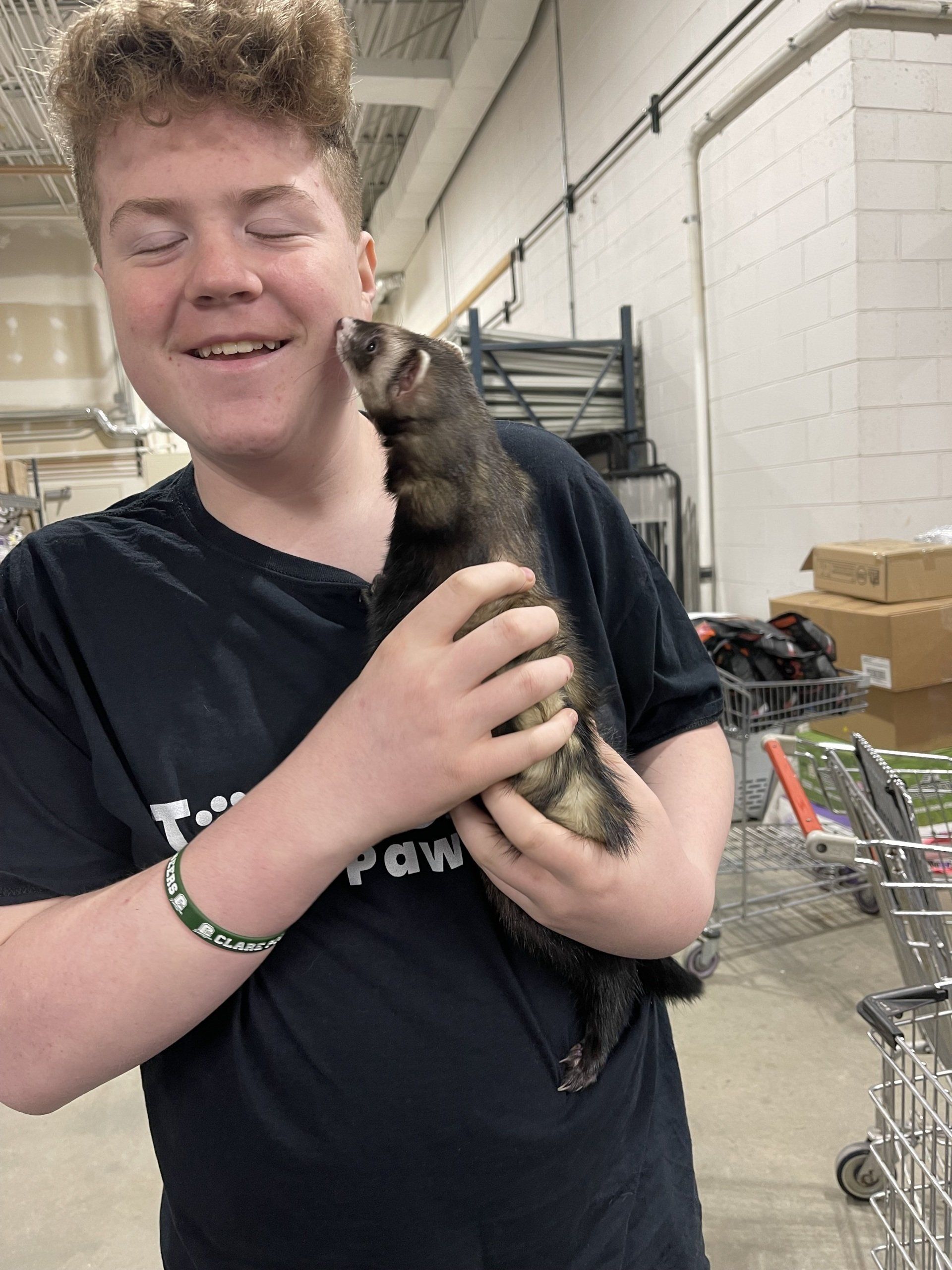 A boy in a black shirt is holding a ferret