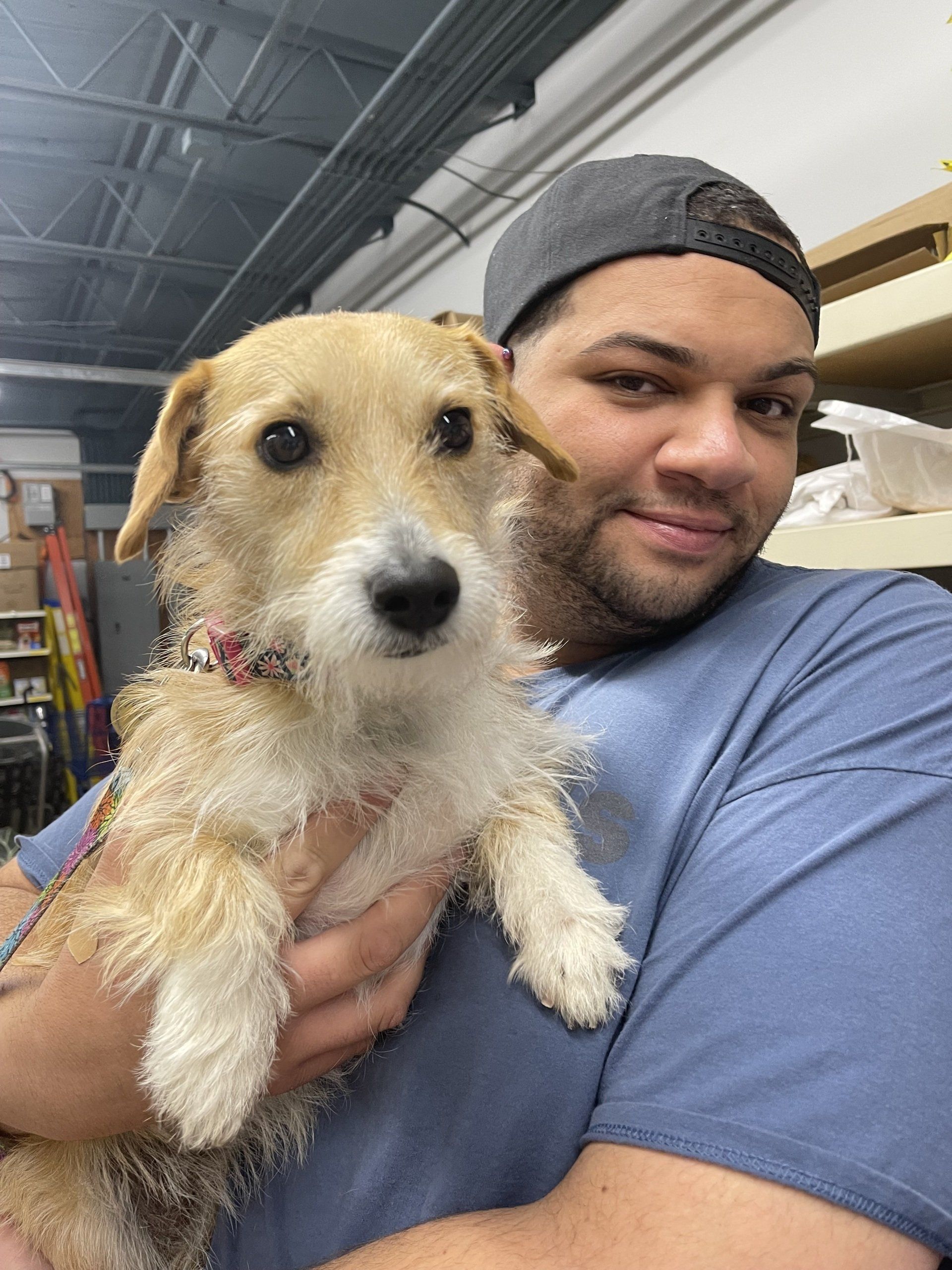 A man is holding a small dog in his arms.