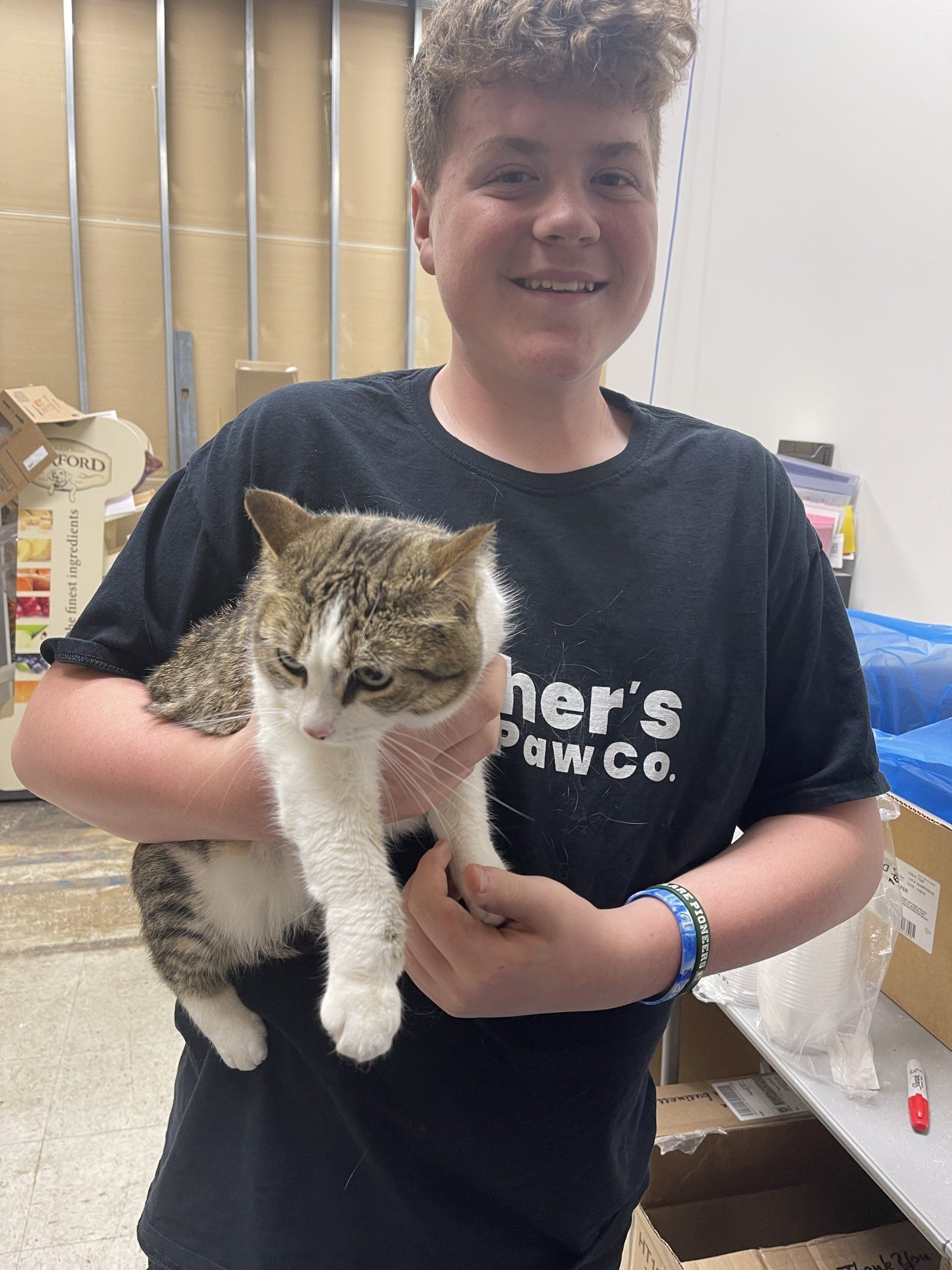 A boy in a black shirt is holding a cat