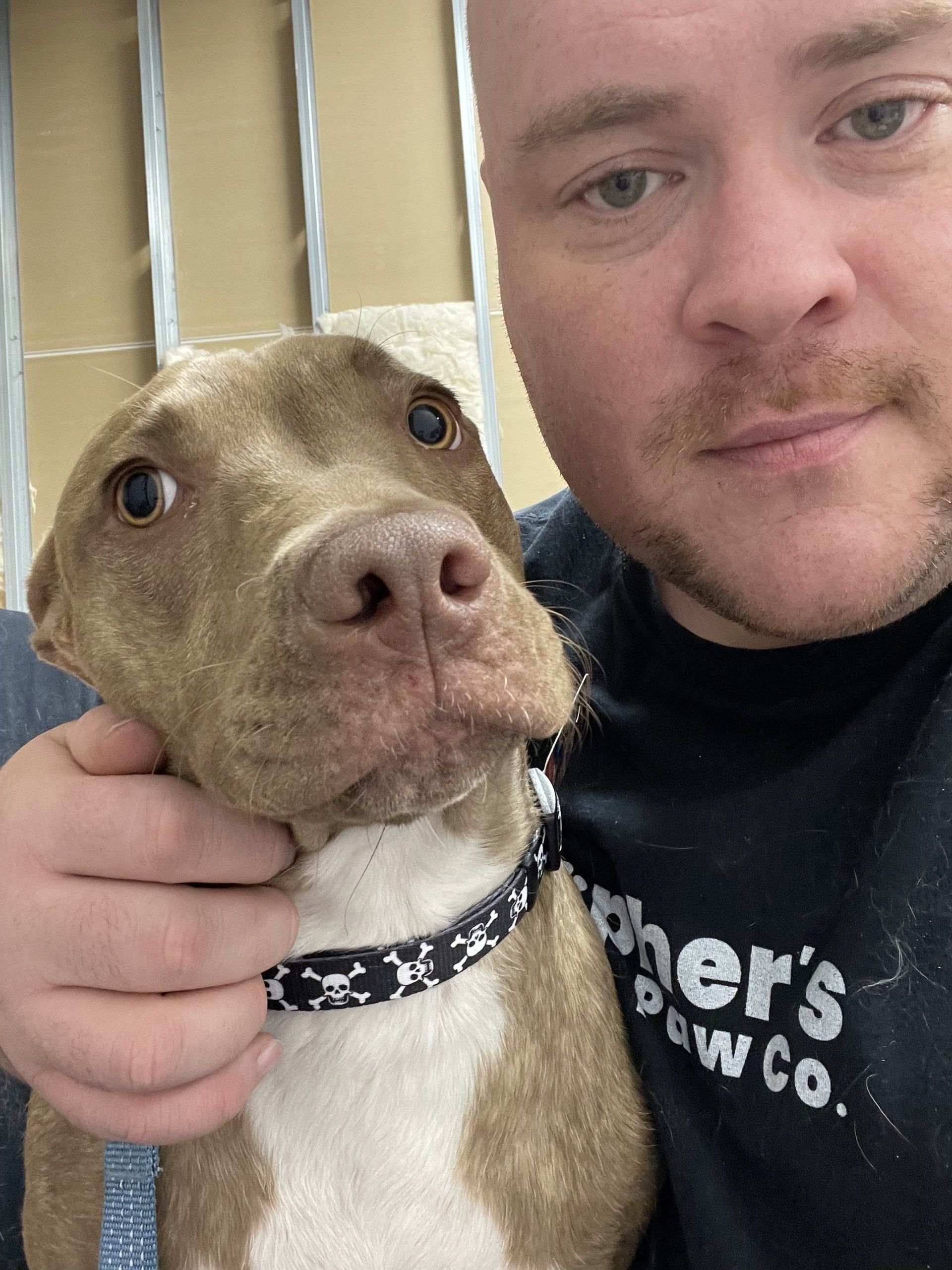 A man is holding a brown and white dog in his arms.