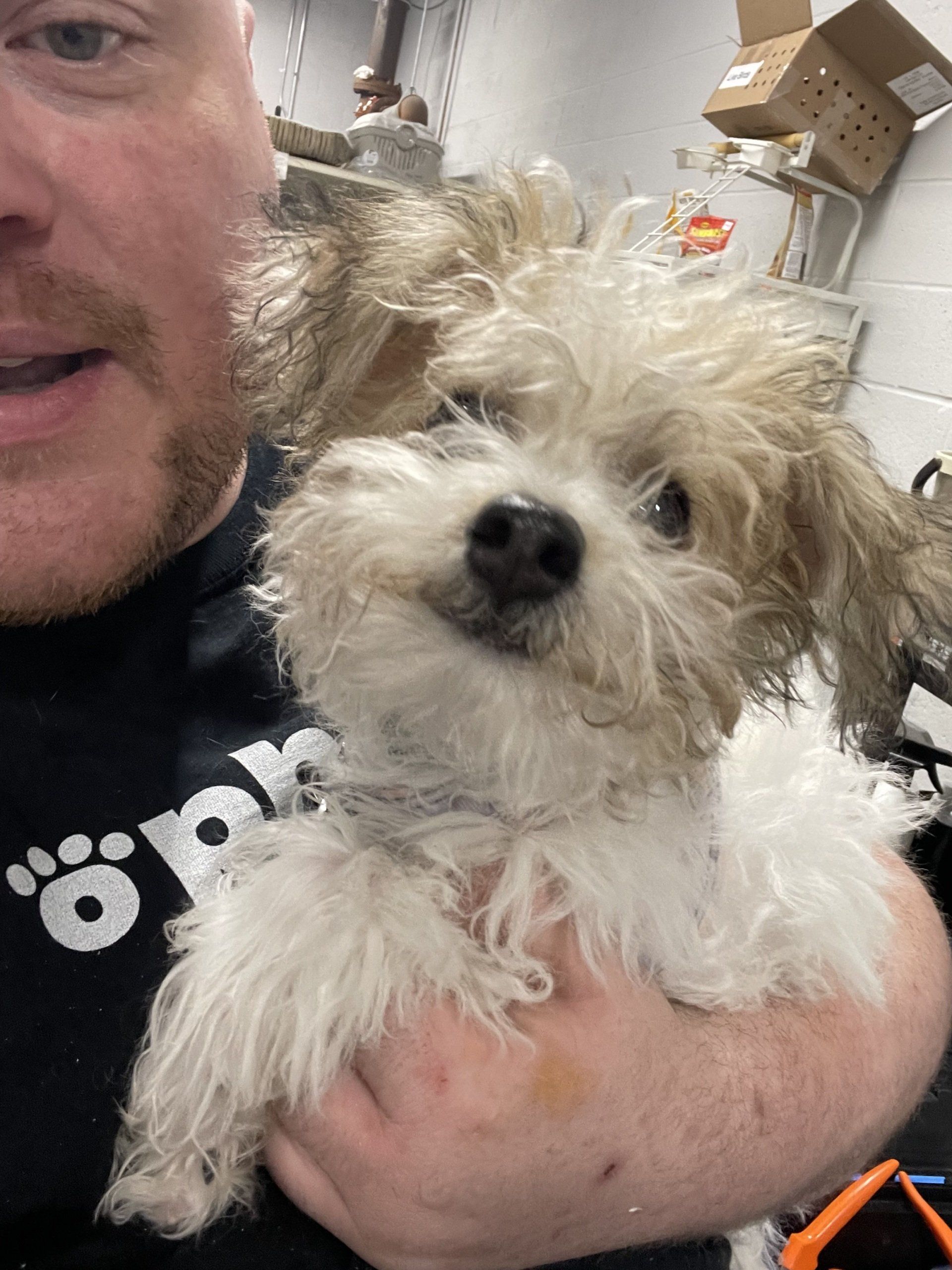 A man is holding a small white dog in his arms.