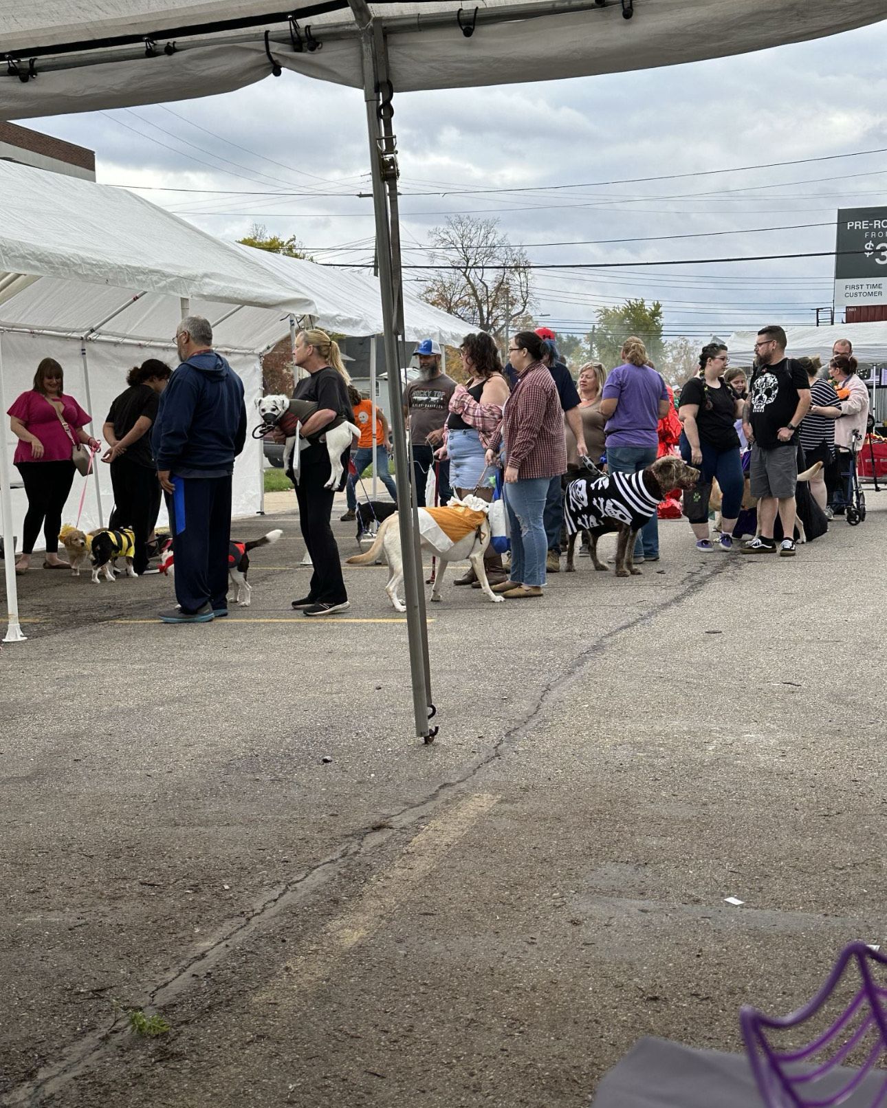 A group of people are standing in a parking lot with their dogs.