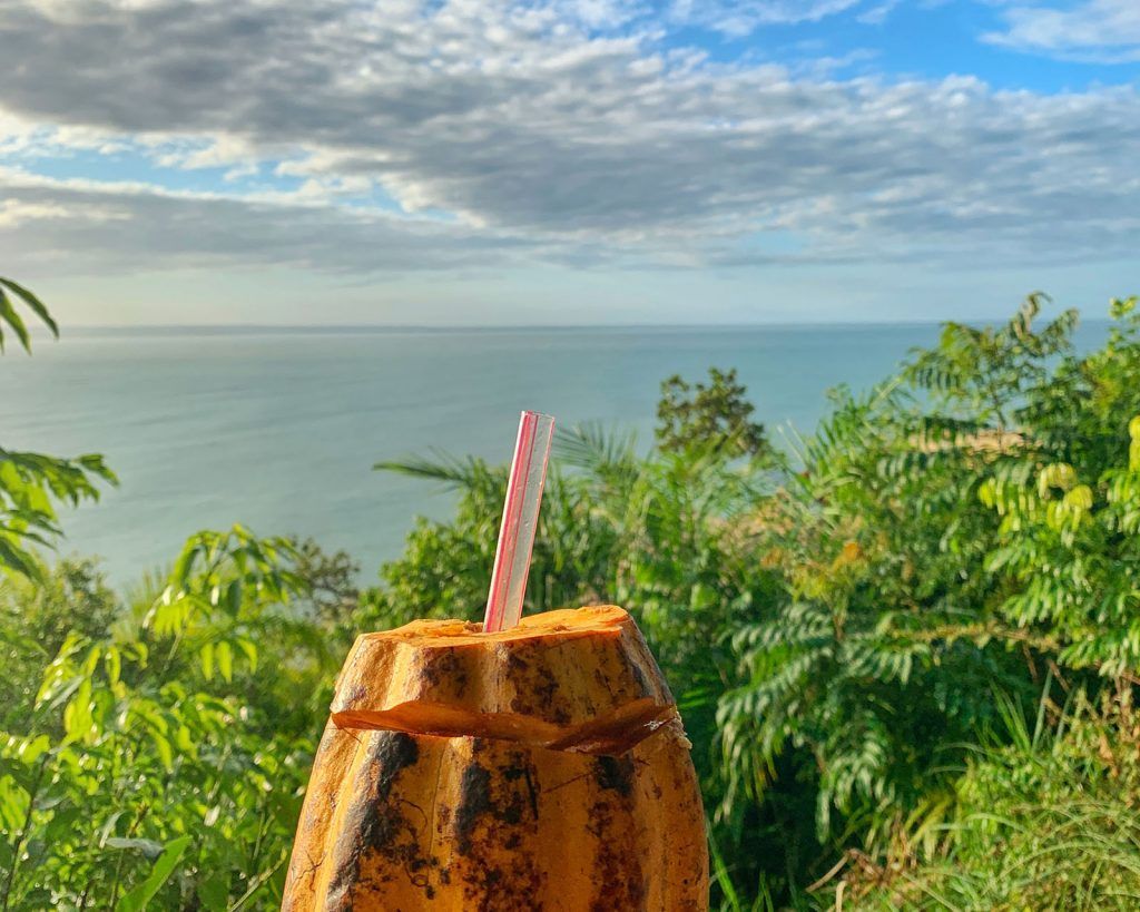 Um coco com um canudo dentro está no topo de uma colina com vista para o oceano. - Pousada Pasargada