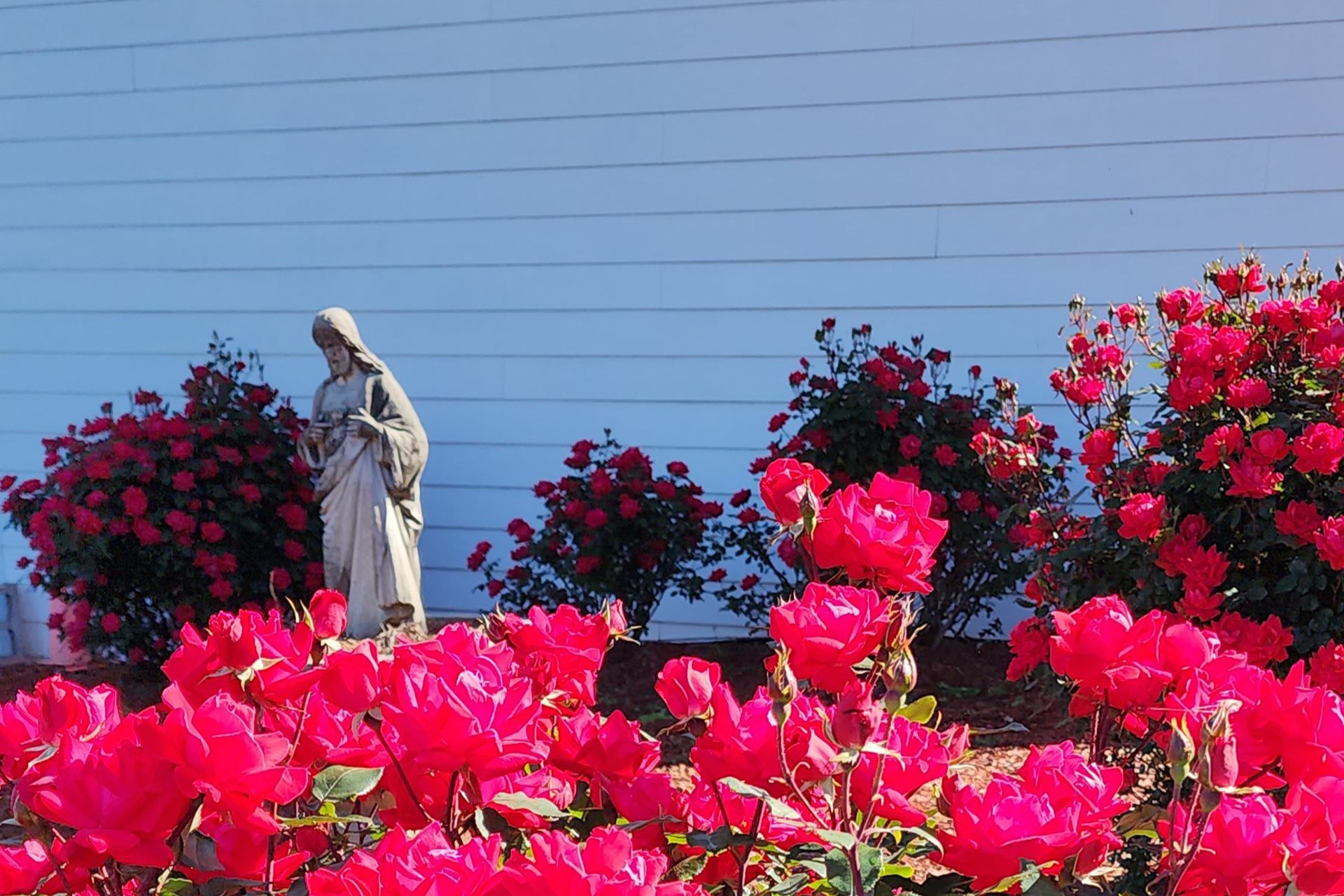 A statue of jesus is surrounded by pink flowers