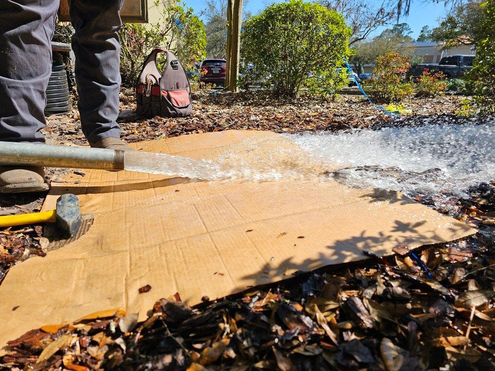 A person is using a hose to spray water on a cardboard box.