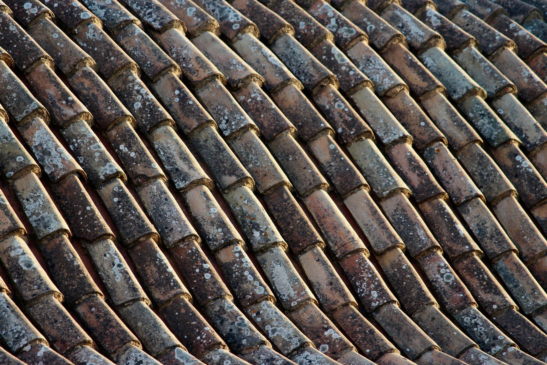 Close-up of weathered terracotta roof tiles arranged in diagonal rows, with some moss.
