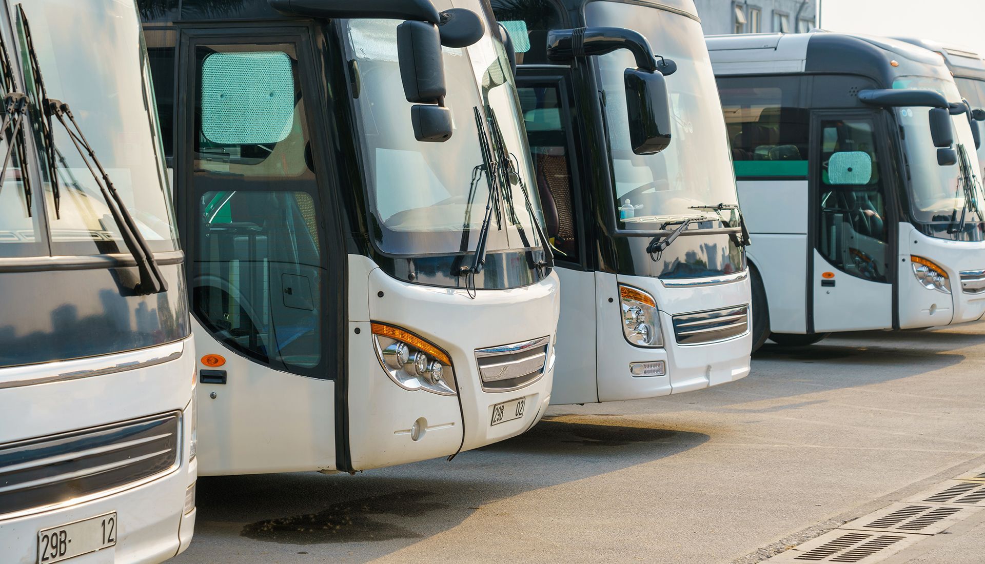 White tour buses parked in a row on pavement in sunlight.