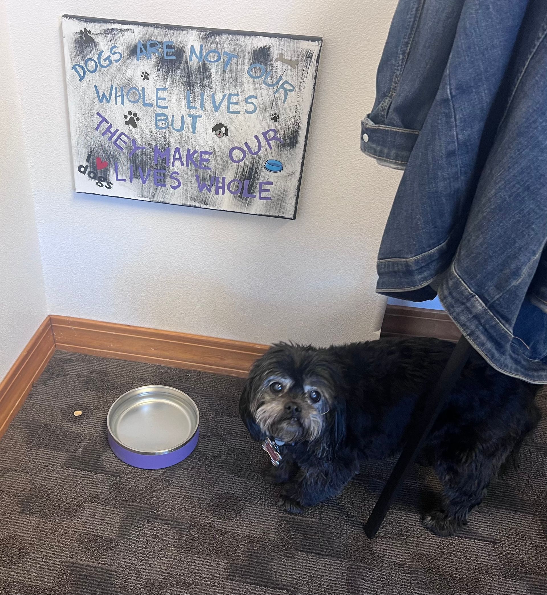 A dog is laying on the floor next to a sign that says 