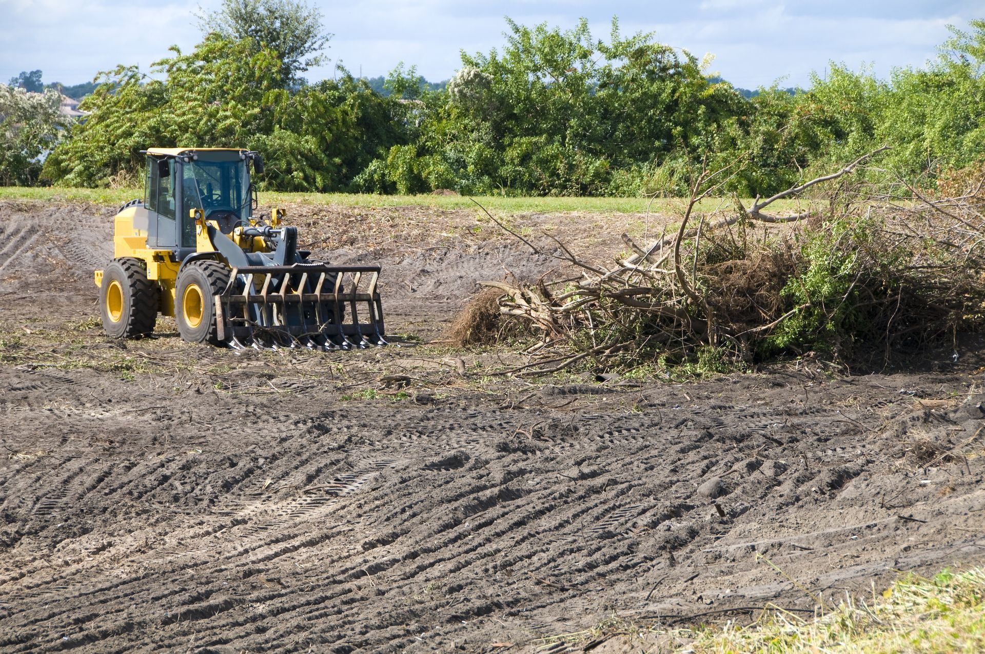 Yellow and gray tractor clearing brush in a field.