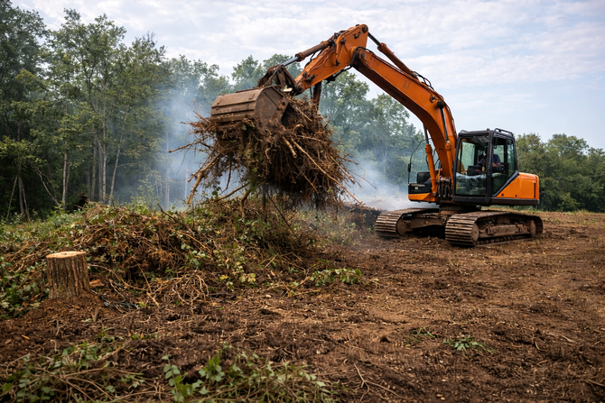Orange excavator clearing brush and debris from a wooded area.