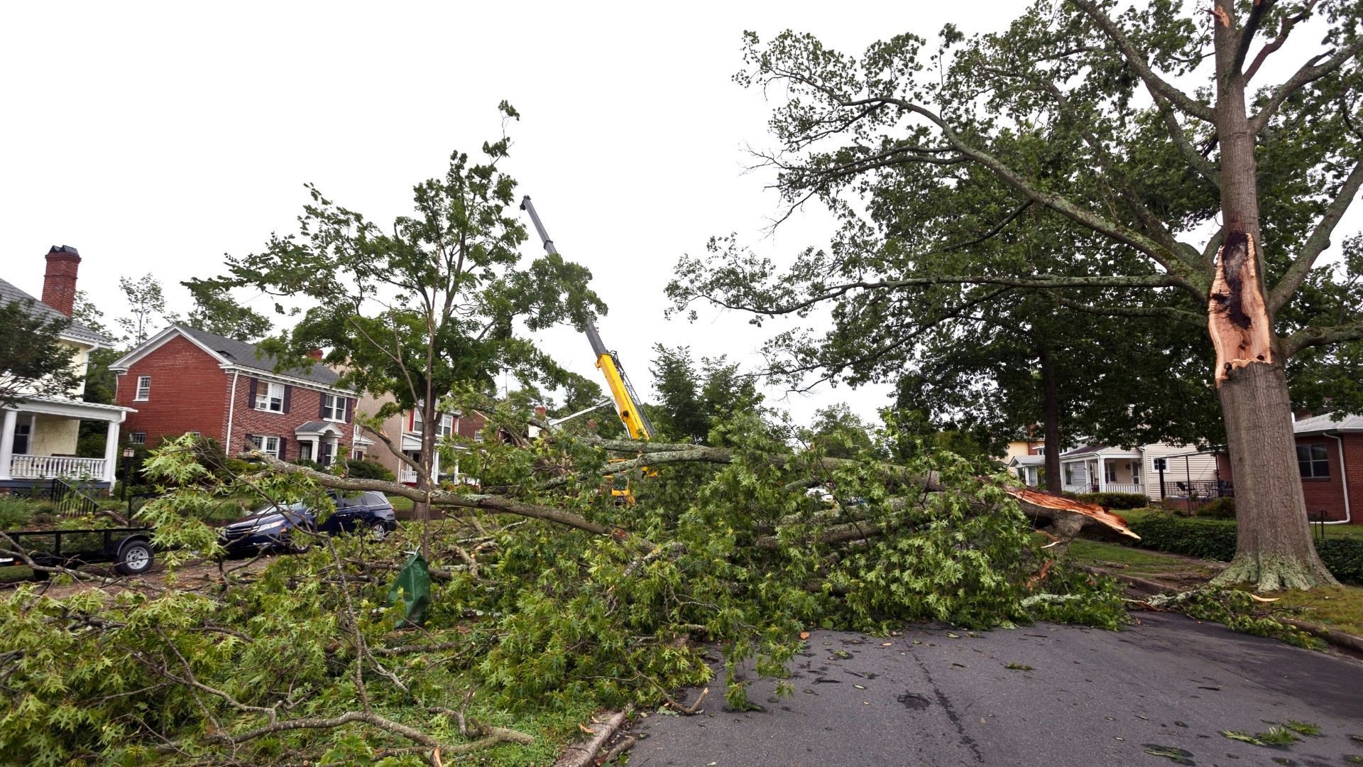 Fallen tree debris blocks a street, crane removing branches, houses in background.