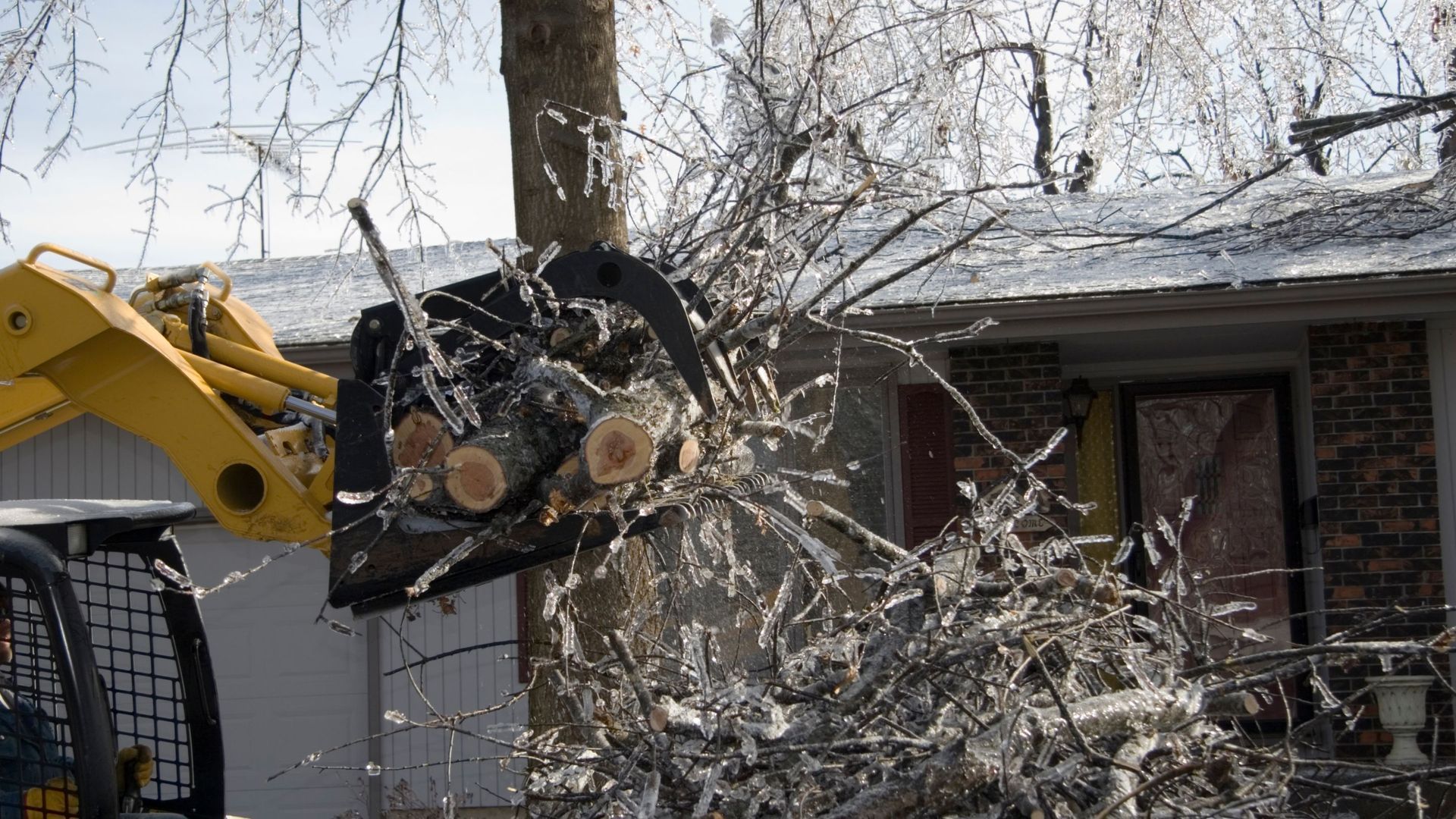 Yellow skid steer loader with branches and logs in its bucket, near a house.