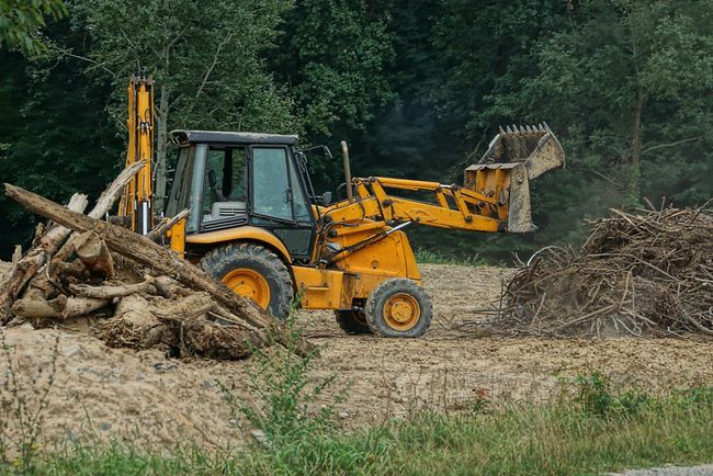 Yellow backhoe loader clearing brush in a field near trees.