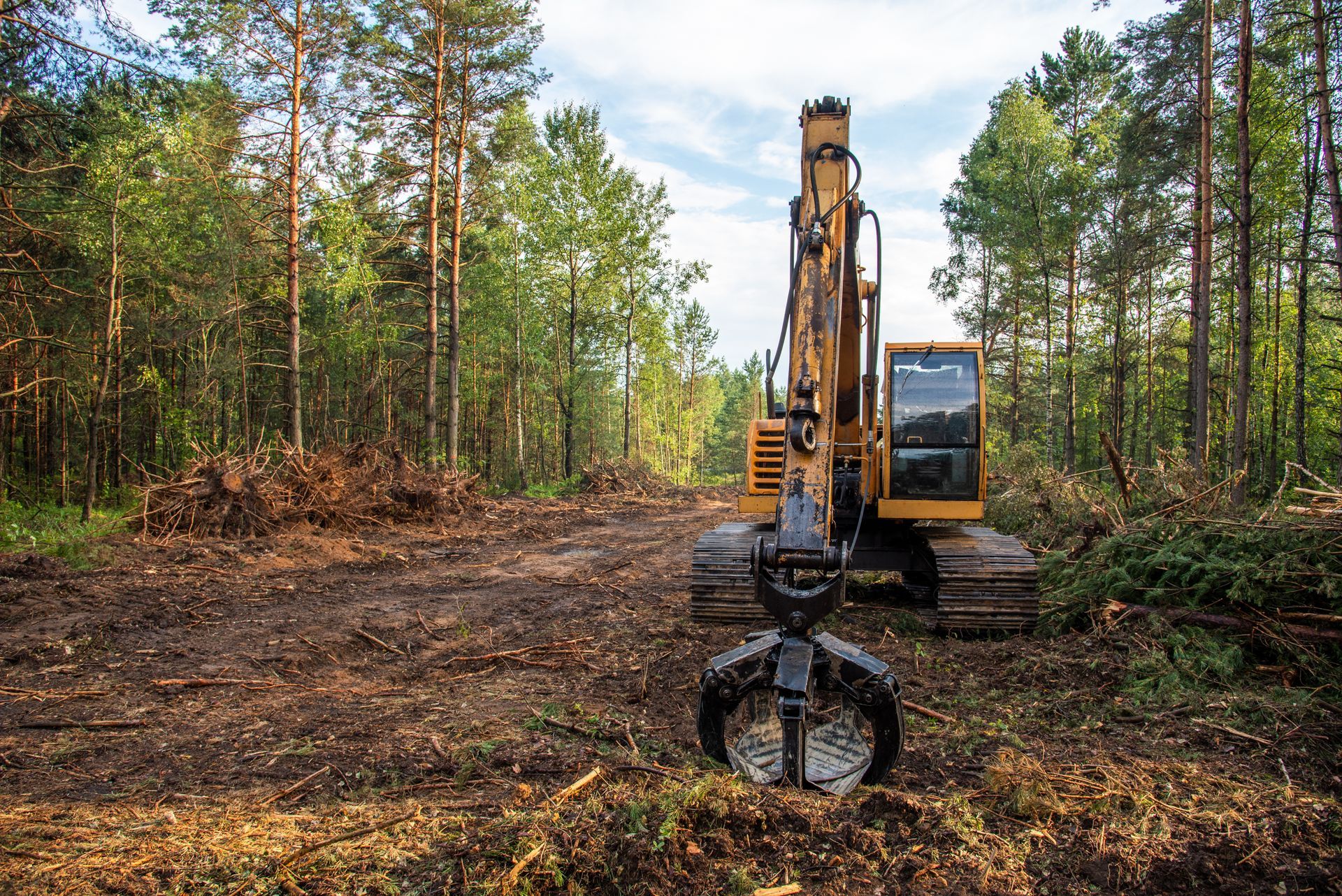 Yellow excavator with grapple in a forest clearing, surrounded by trees.