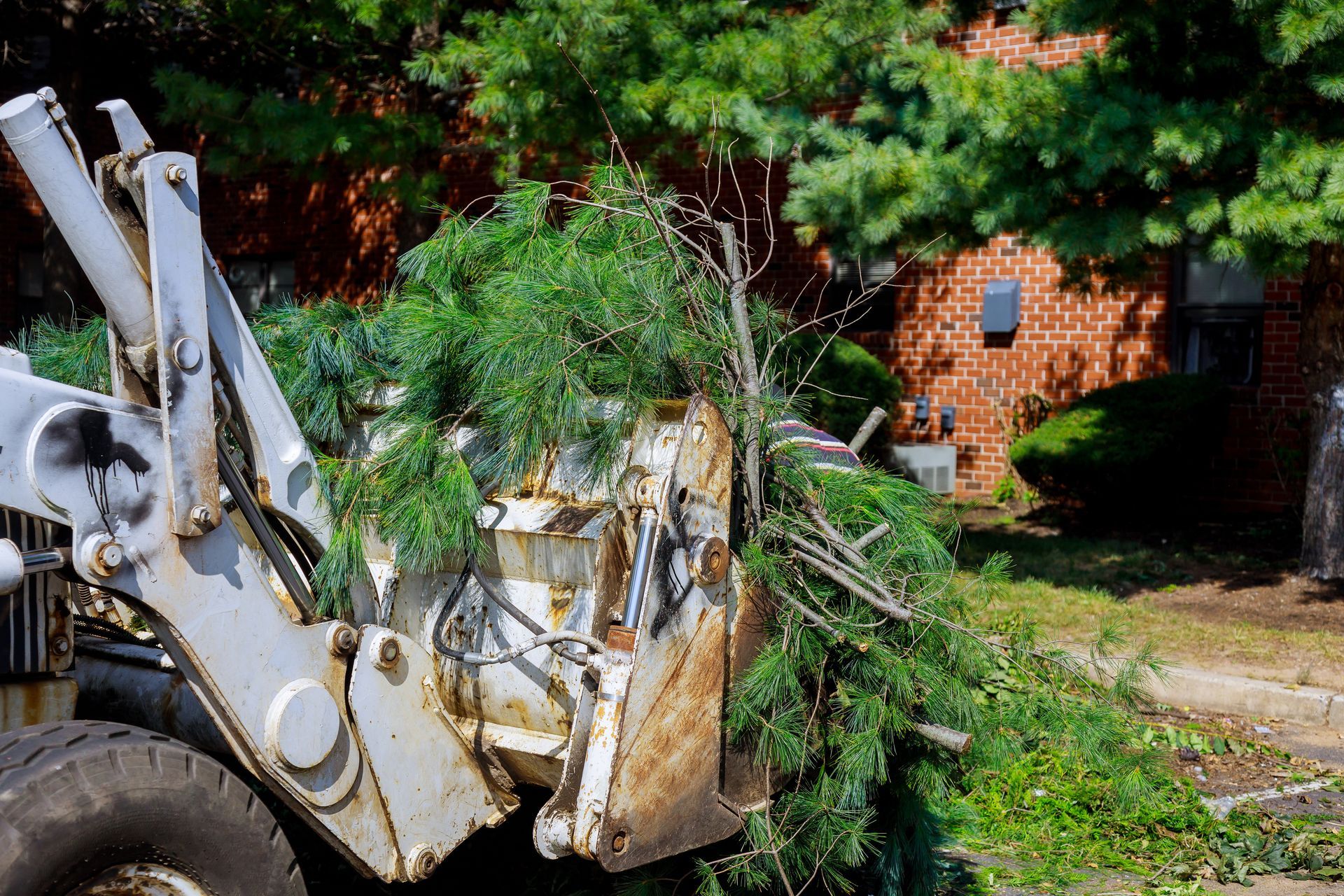 Front-end loader filled with green tree branches near a building with red brick walls and green bushes.