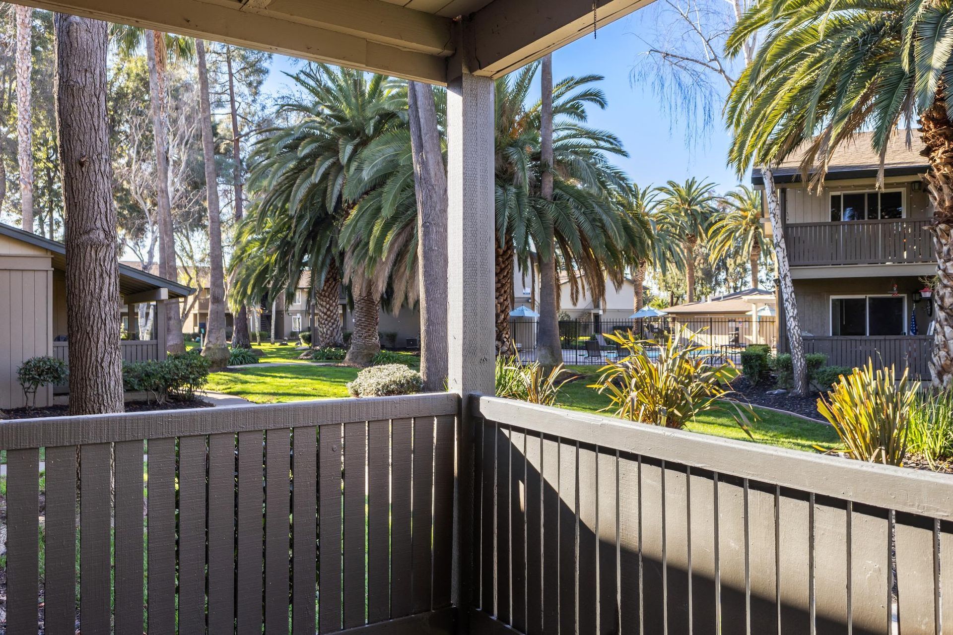 Balcony viewpoint overlooking a palm-tree courtyard at an apartment community.