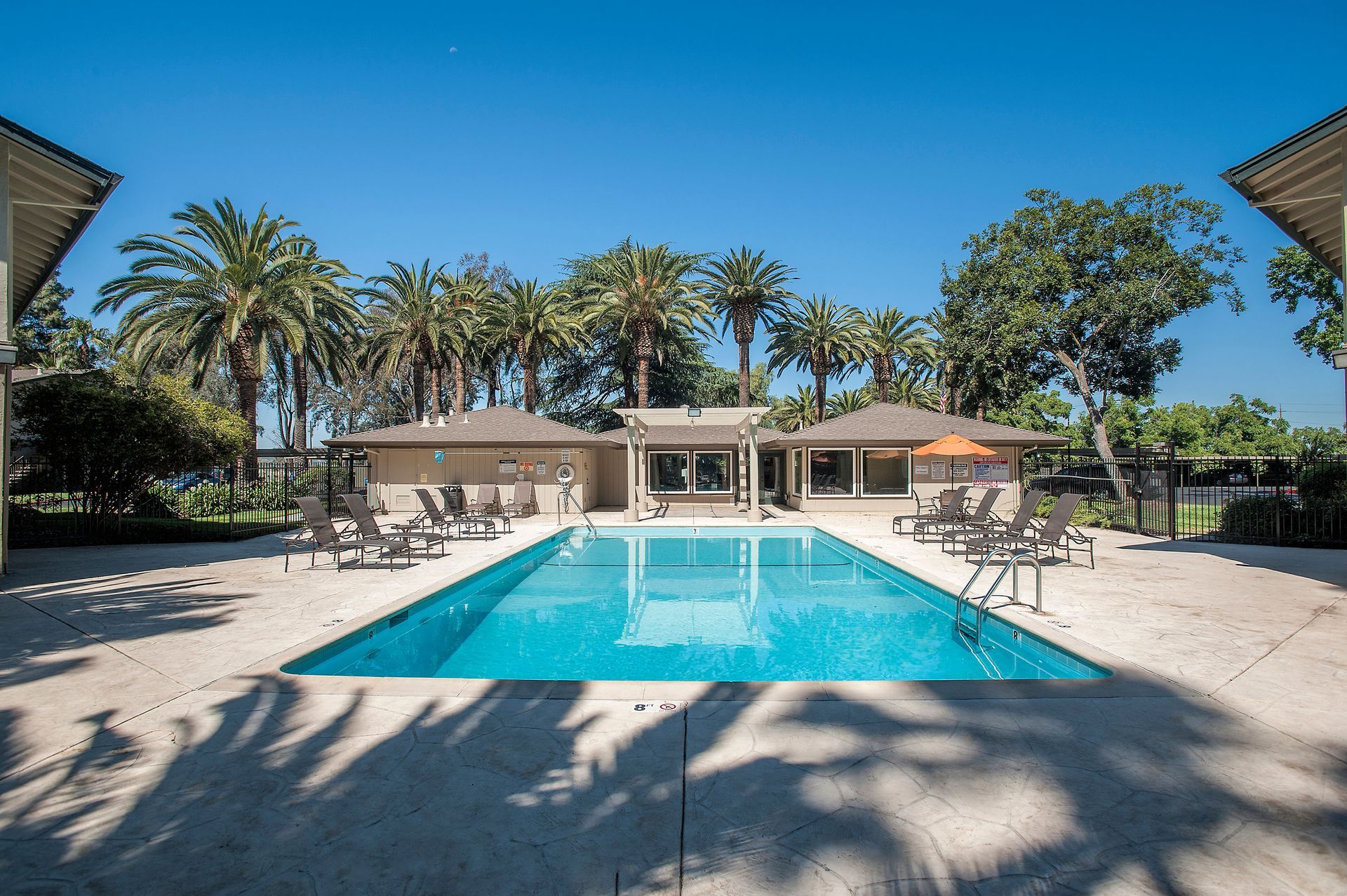 Outdoor apartment pool area with lounge chairs, palm trees, and a clubhouse.