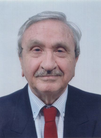necrologio DOMENICO PROVINI