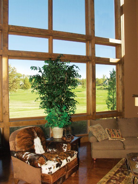 home window tinting orlando