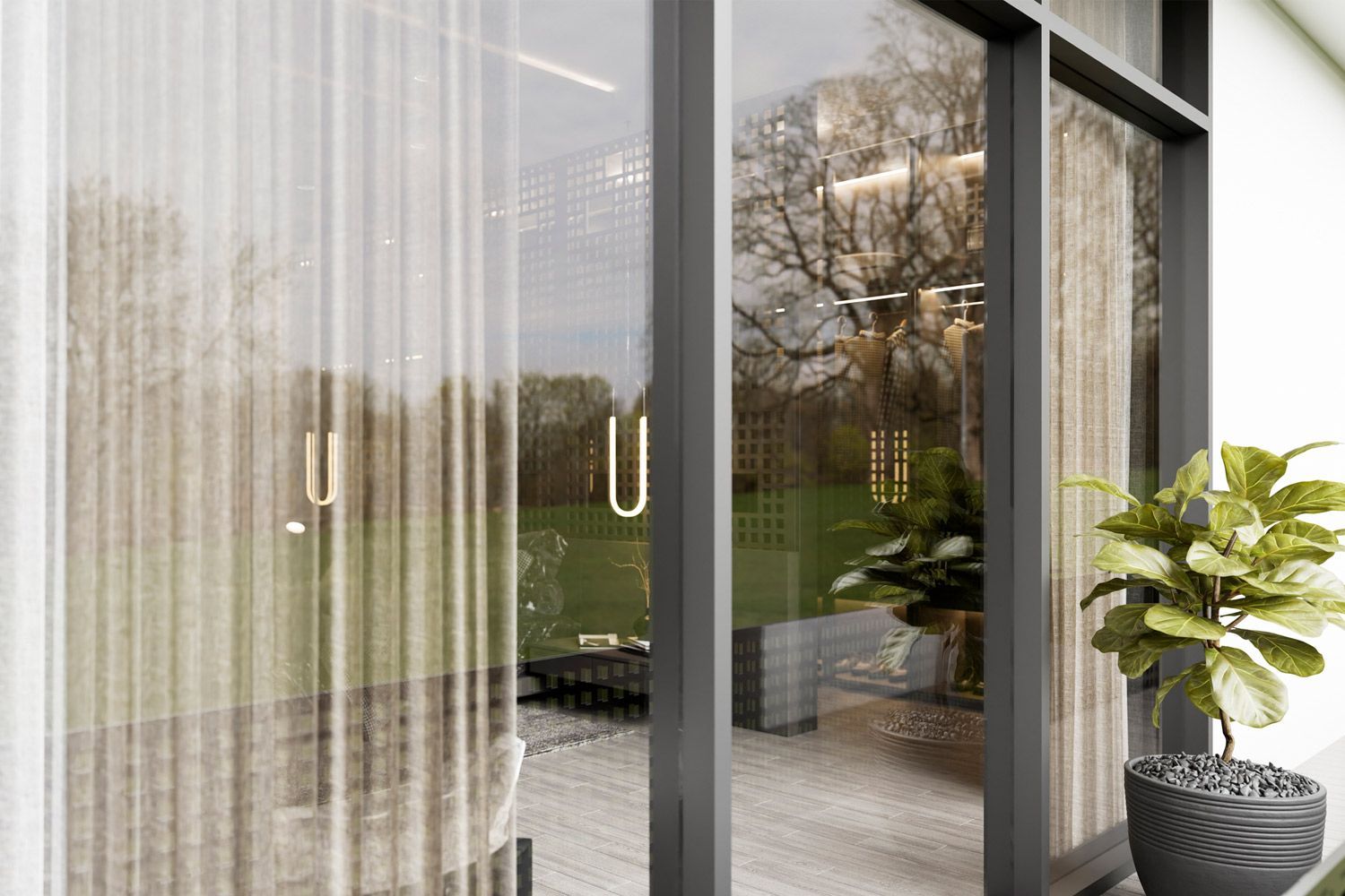 A Sliding Glass Door and a Plant A Sliding Glass Door and a Plant