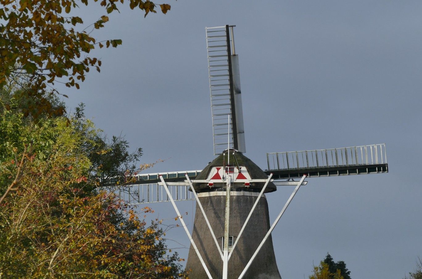 Een windmolen met draaiende wieken tegen een bewolkte hemel, met herfstbladeren op de voorgrond.