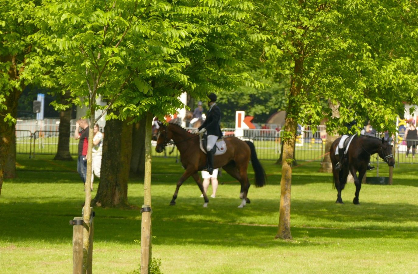 Een ruiter op een bruin paard tijdens een paardensportevenement in de openlucht; een ander paard staat er vlakbij.