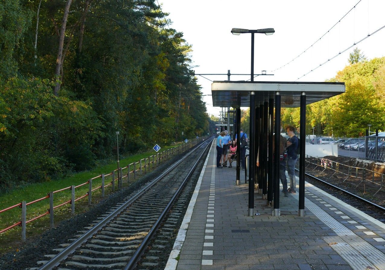 Een perron van een treinstation, omzoomd door bomen en sporen, met een overdekte wachtruimte.
