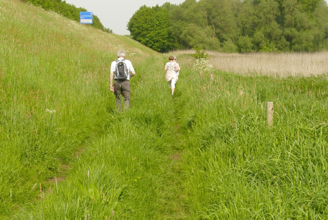 Twee mensen lopen over een graspad richting een bosrijk gebied.