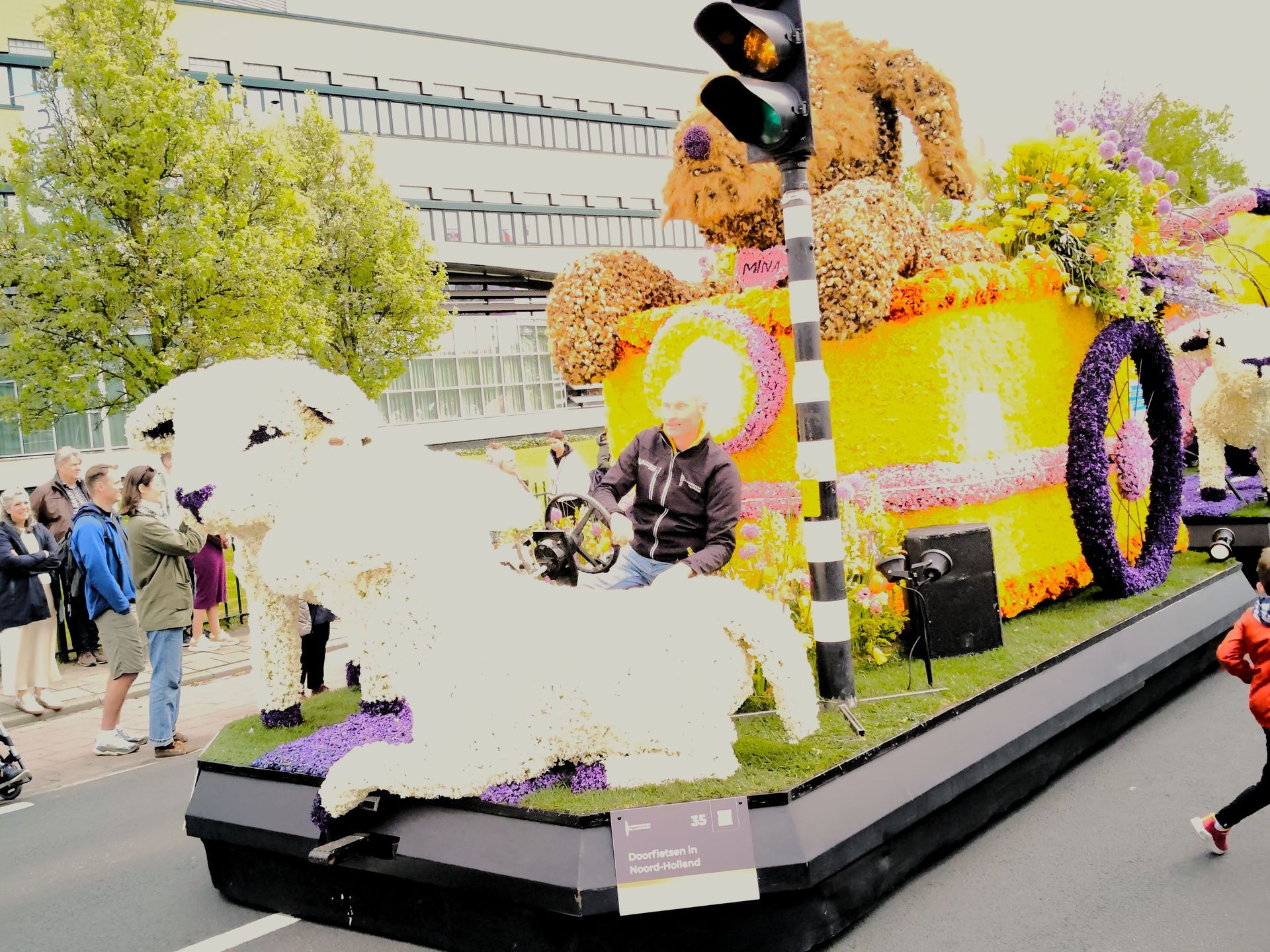 Kleurrijke praalwagen met een groot wit schaap en een zittende figuur, versierd met bloemen en gele accenten. Buiten