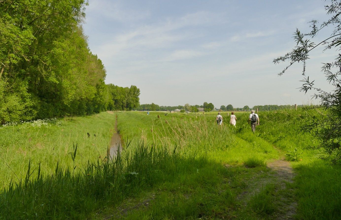 Een graspad door een veld; drie mensen lopen richting de horizon. Heldergroen gras, blauwe lucht.