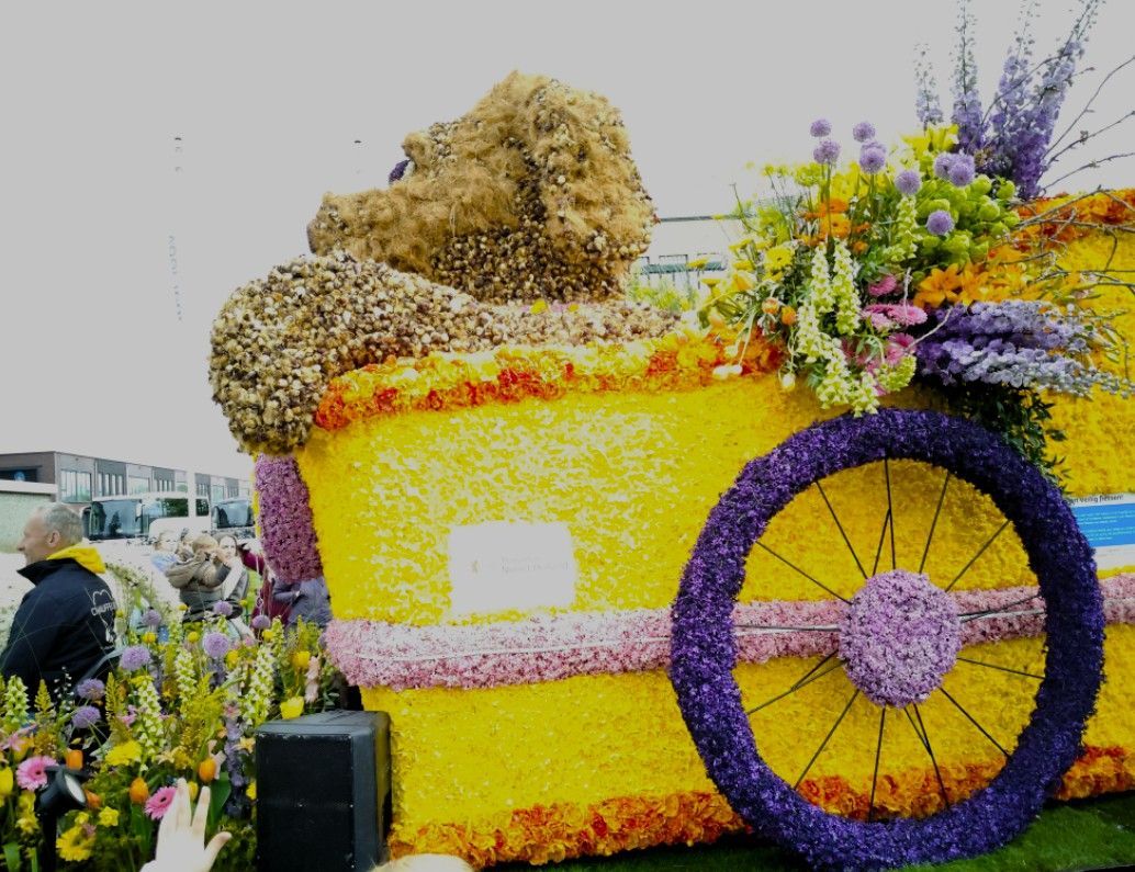 Kleurrijke praalwagen met bloemen, een gele carrosserie, paarse wielen en bloemstukken.