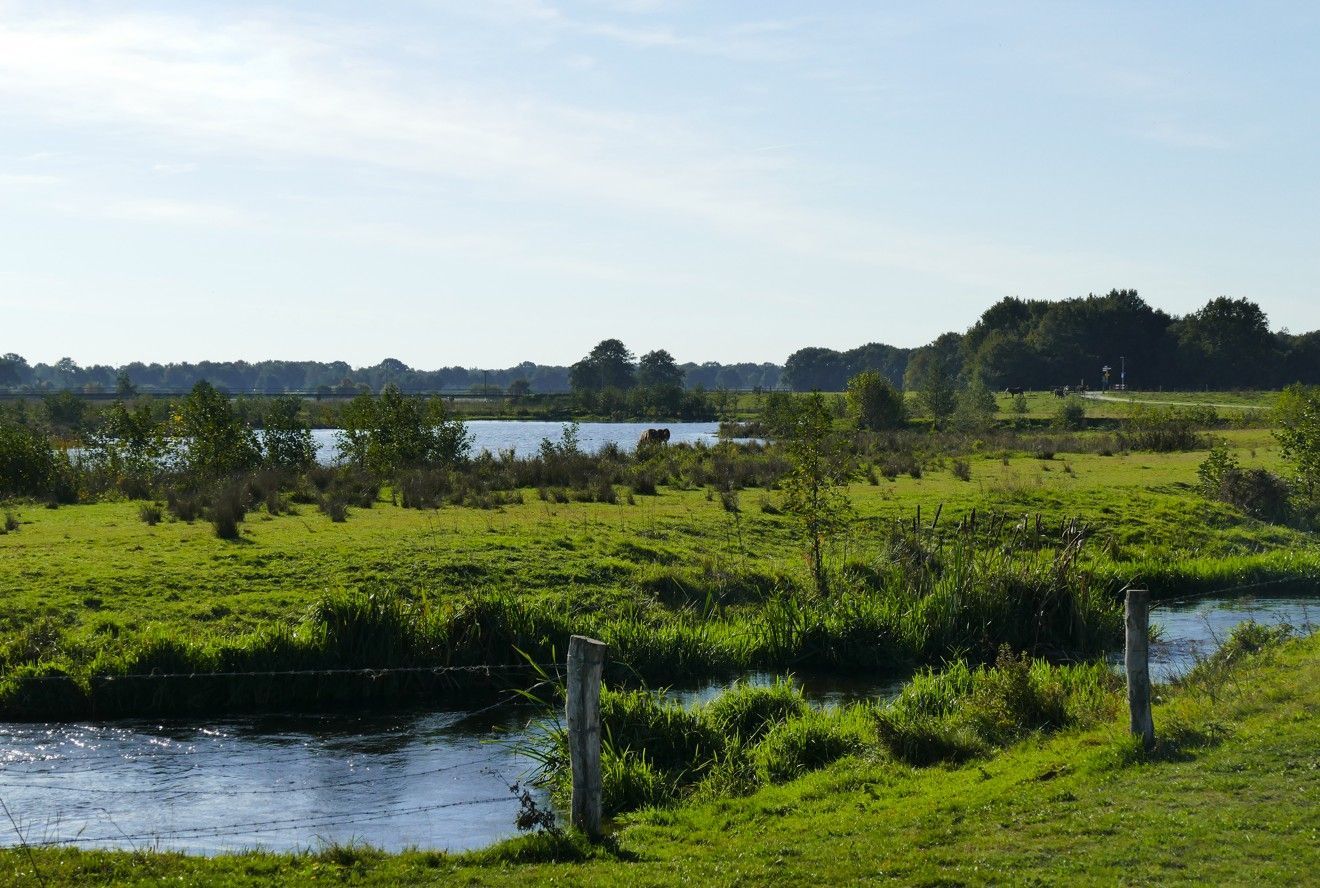 Een grasveld met op de voorgrond de Vecht dat uitmondt in een klein meer, omgeven door bomen, onder een heldere hemel.