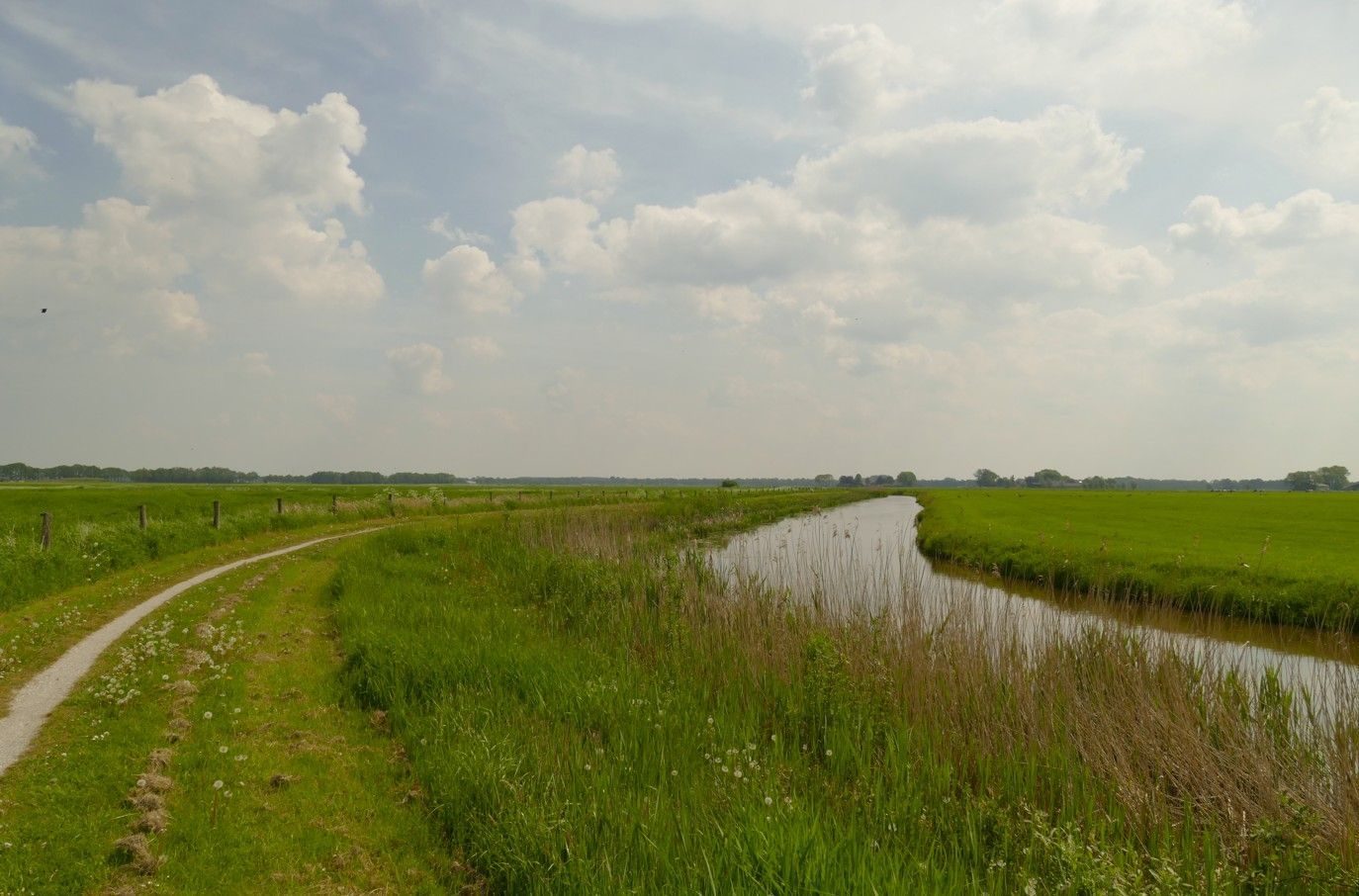 Een grasrijk landschap met een pad, een kanaal en een bewolkte hemel. Groene velden strekken zich uit tot aan de horizon.