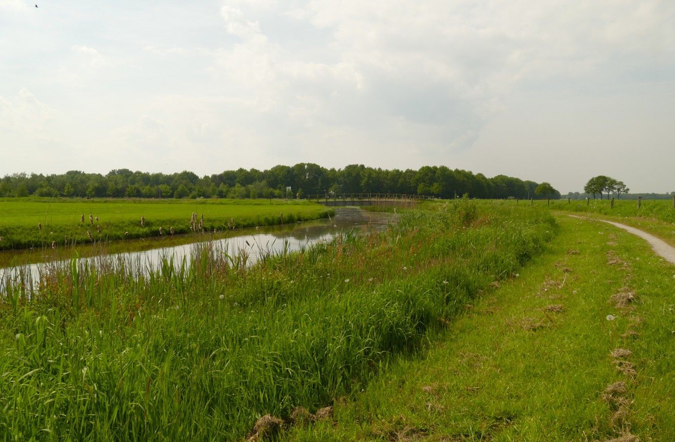 Een groen, grasrijk landschap met een kronkelende rivier en een zandpad onder een bewolkte hemel.